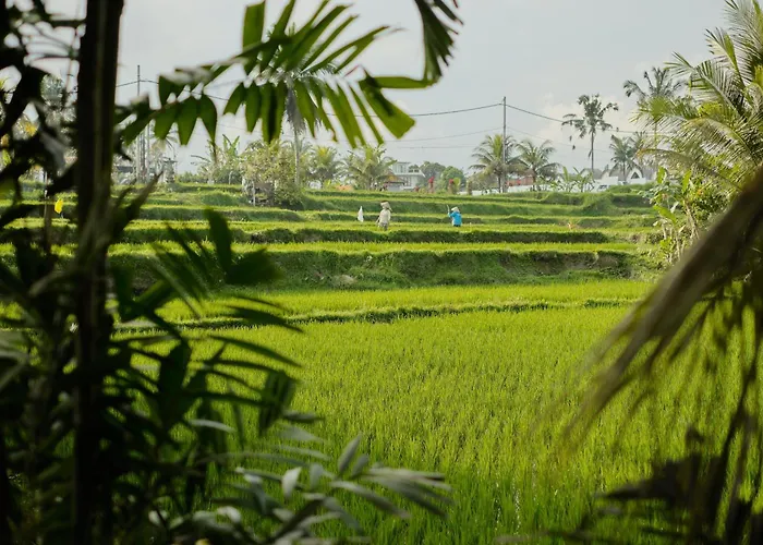Villa Dania Cinta *