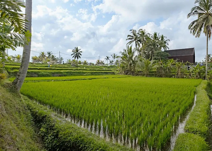 Dania Cinta Ubud
